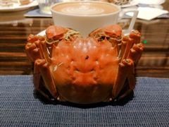 -康莱德酒店·美庭自助餐厅