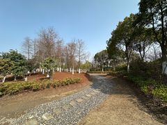 -春花秋色城市公园