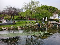 -蠡湖大桥公园