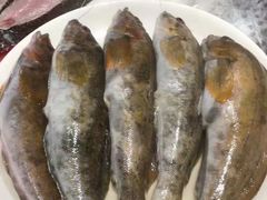 -日丰园海肠水饺·老字号大连海鲜(和平广场店)