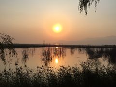 景点-野鸭湖国家湿地公园