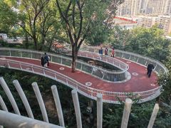 -金鸡山公园