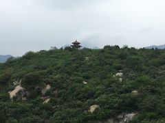 -白水寺森林公园