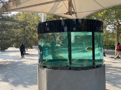 -石家庄市动物园