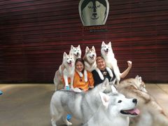 -TrueLove @ Neverland (Husky Cafe)
