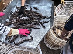 -海峡水产品交易中心(海鲜交易区)