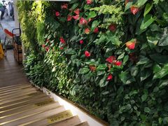 -Peet's Coffee皮爷咖啡(大学路店)