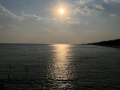 -贡湖湾湿地公园
