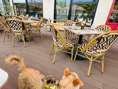 -Grande A'moo(上海万象城店)