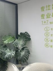 -凡碧诗毛孔清洁收细