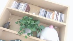 点击看大图 -WENDY·温迪皮肤管理