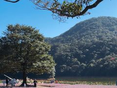 -广州市石门国家森林公园