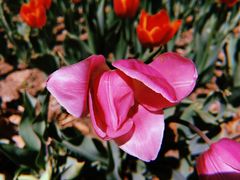 -长春公园(普阳街道)