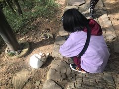 -雨花胜境