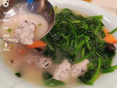 菠菜浸顺德鱼滑-娱筷海鲜酒家(广州南沙店)