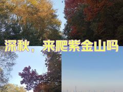 -紫金山索道-售票处