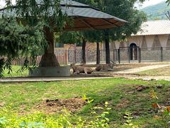 -石家庄市动物园