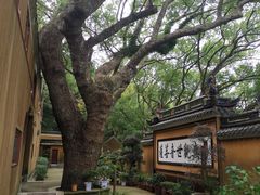 -普陀山风景名胜区-法雨禅寺