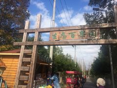 -上海长兴岛郊野公园