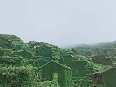 -枸杞岛