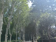 -西安市长乐公园