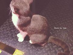 -MIKAKU(万达广场上海宝山店)