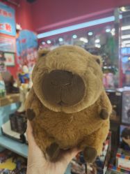 -16TOYS中古玩具铺(崇文门店)