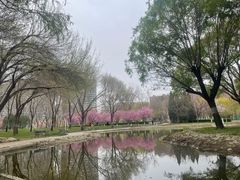 -泰丰公园