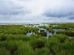 -花湖生态旅游区