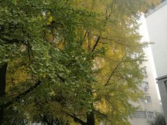 -四川大学(望江校区)