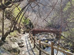 -青峰峡国家森林公园