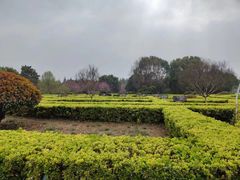 -洛阳市隋唐城遗址植物园