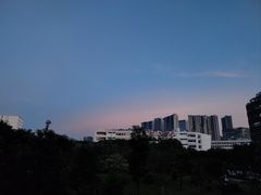 -深圳湾公园(南山区)