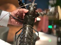 -Oyster Talks 四度蚝法餐厅