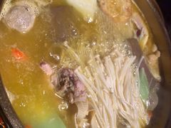 -Darling Queen·Mini·Live·House