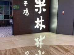 -百年果林椰子鸡(中洲店)