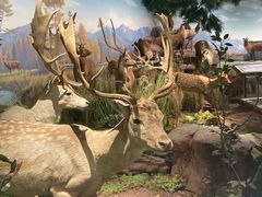 -陕西自然博物馆