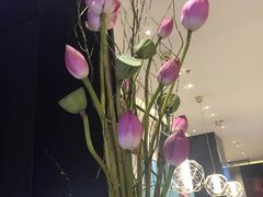 -眉州东坡(远洋未来广场店)