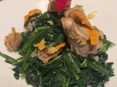-海派美食·家宴海鲜青岛菜·石锅鲽鱼头(东方城店)