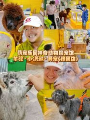 -神奇动物撸宠馆·羊驼·小浣熊·异宠(豫园店)