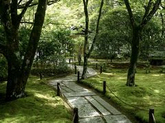 -西芳寺(苔寺)