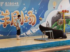 -厦门海底世界