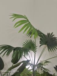 -HEYAN荷妍专业脱毛连锁机构