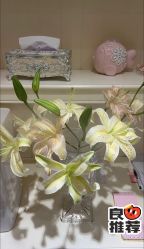 -北京俪婴妇产医院(朝阳大悦城店)