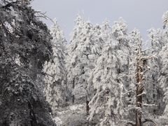 -瓦屋山景区