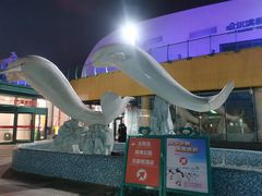-哈尔滨极地公园