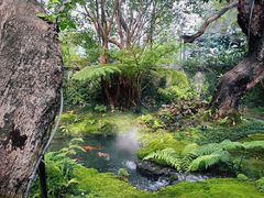 -Chom Cafe and Restaurant