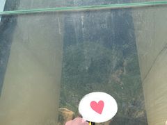 -重庆云阳龙缸景区