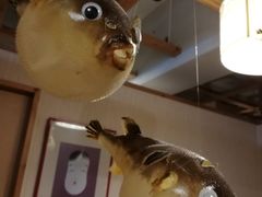 -玄品河豚(那覇國際通里之関)