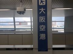 -大阪国际机场